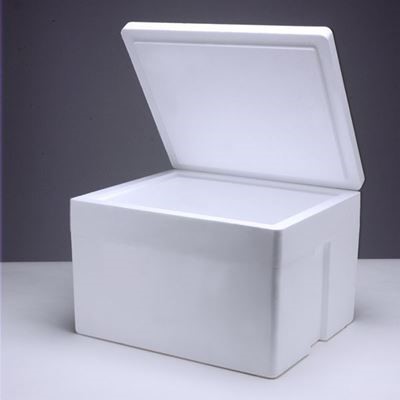 Small Foam Cooler, Styrofoam, 7.75 x 5.875 x 9.125 in, Corrugated Box