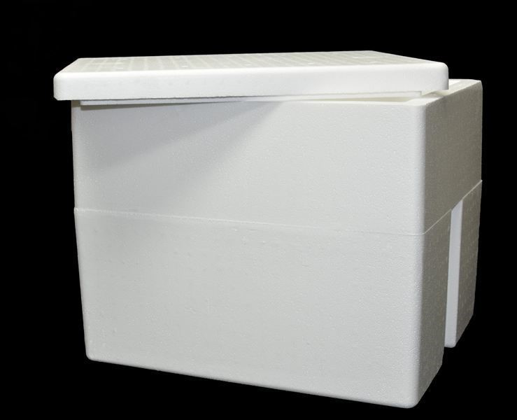 13 Quart Styrofoam Cooler