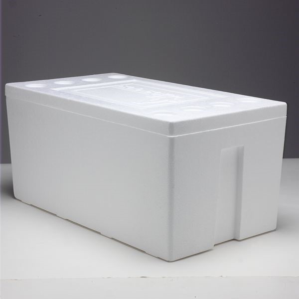 box ice styrofoam