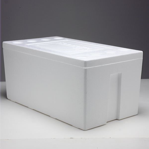 styrofoam cooler bulk