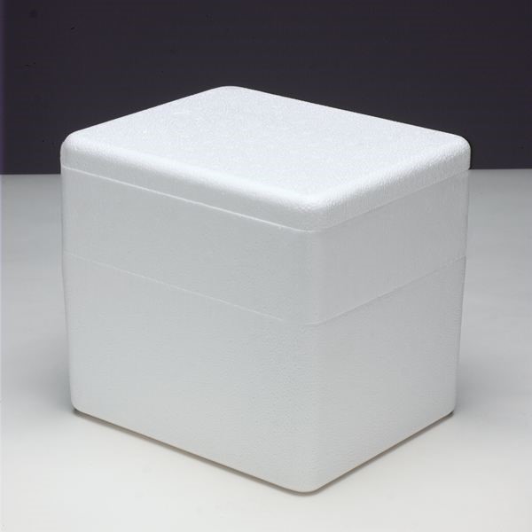 Small Foam Cooler, Styrofoam, 7.75 x 5.875 x 9.125 in, Corrugated Box