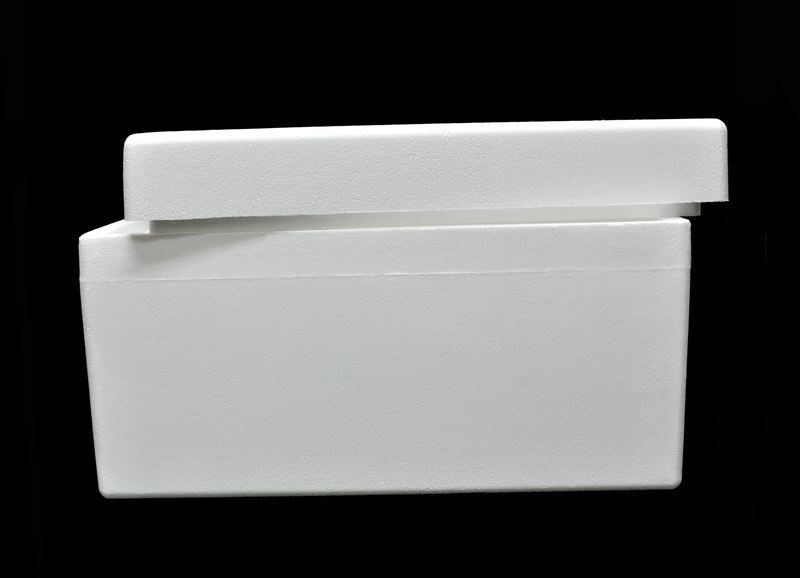 styrofoam cooler bulk