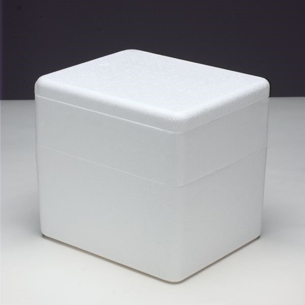 6 Quart Styrofoam Cooler