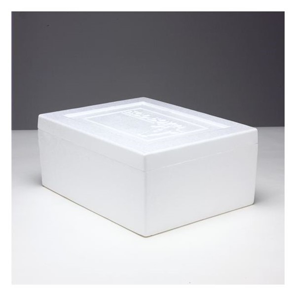 Small Foam Cooler Styrofoam 7.75 x 5.875 x 9.125 in Corrugated Box